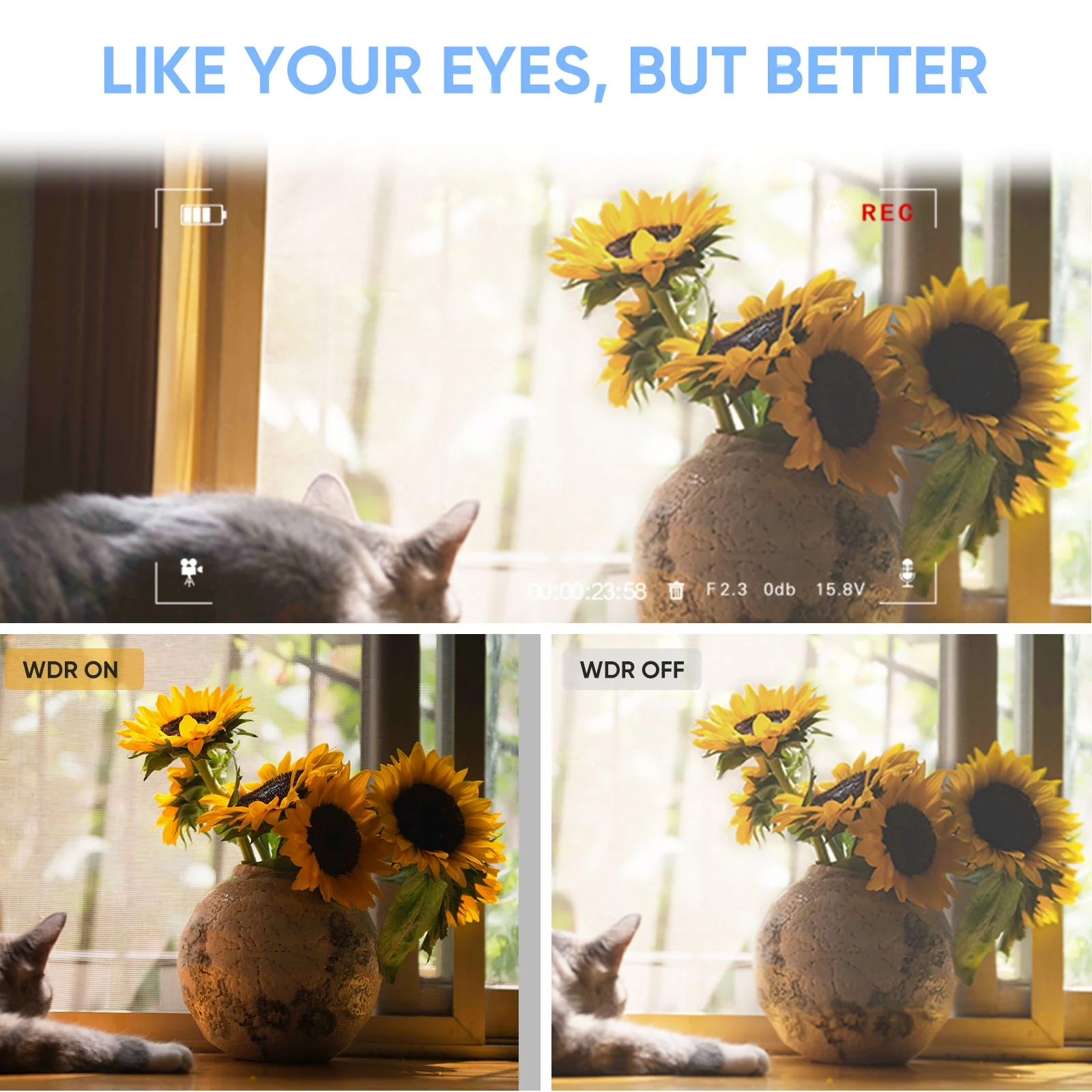 ORDRO M5 Video Camera Vlogging Camcorder 5K 3-Axis Stabilization Handheld Camera for Photography ORDRO M5 Video Camera Vlogging Camcorder 5K 3-Axis Stabilization Handheld Camera for Photography